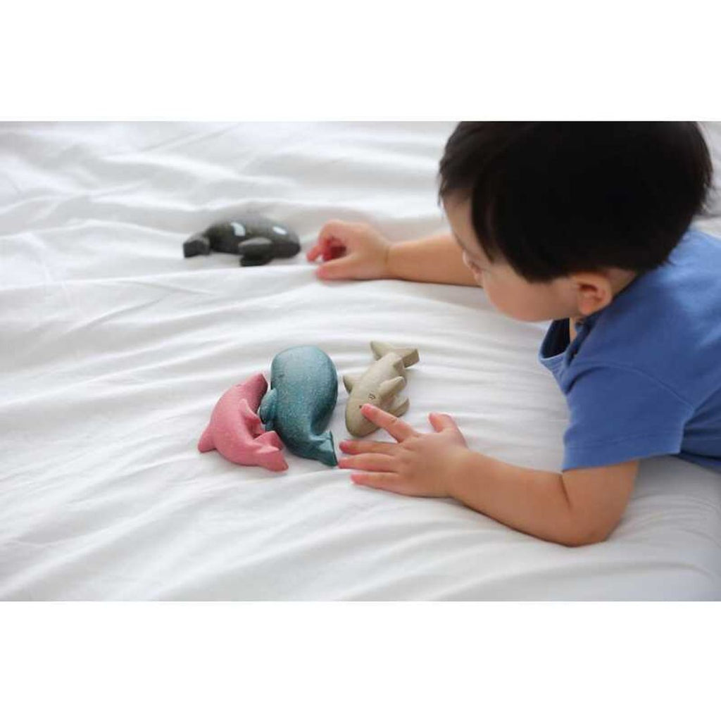 Kid playing PlanToys Whale