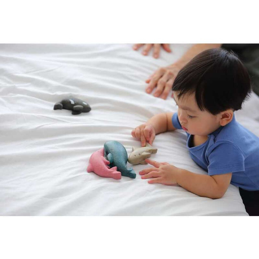 Kid playing PlanToys Whale