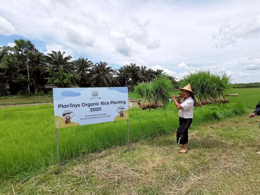 How COVID-19 Has Impacted PlanToys