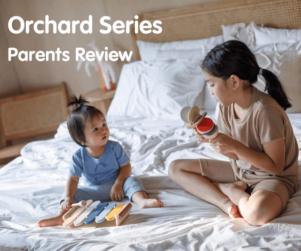 Parents Review PlanToys Products