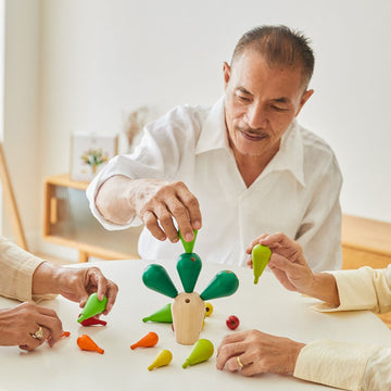 Balancing Cactusㅤ – PlanToys USA