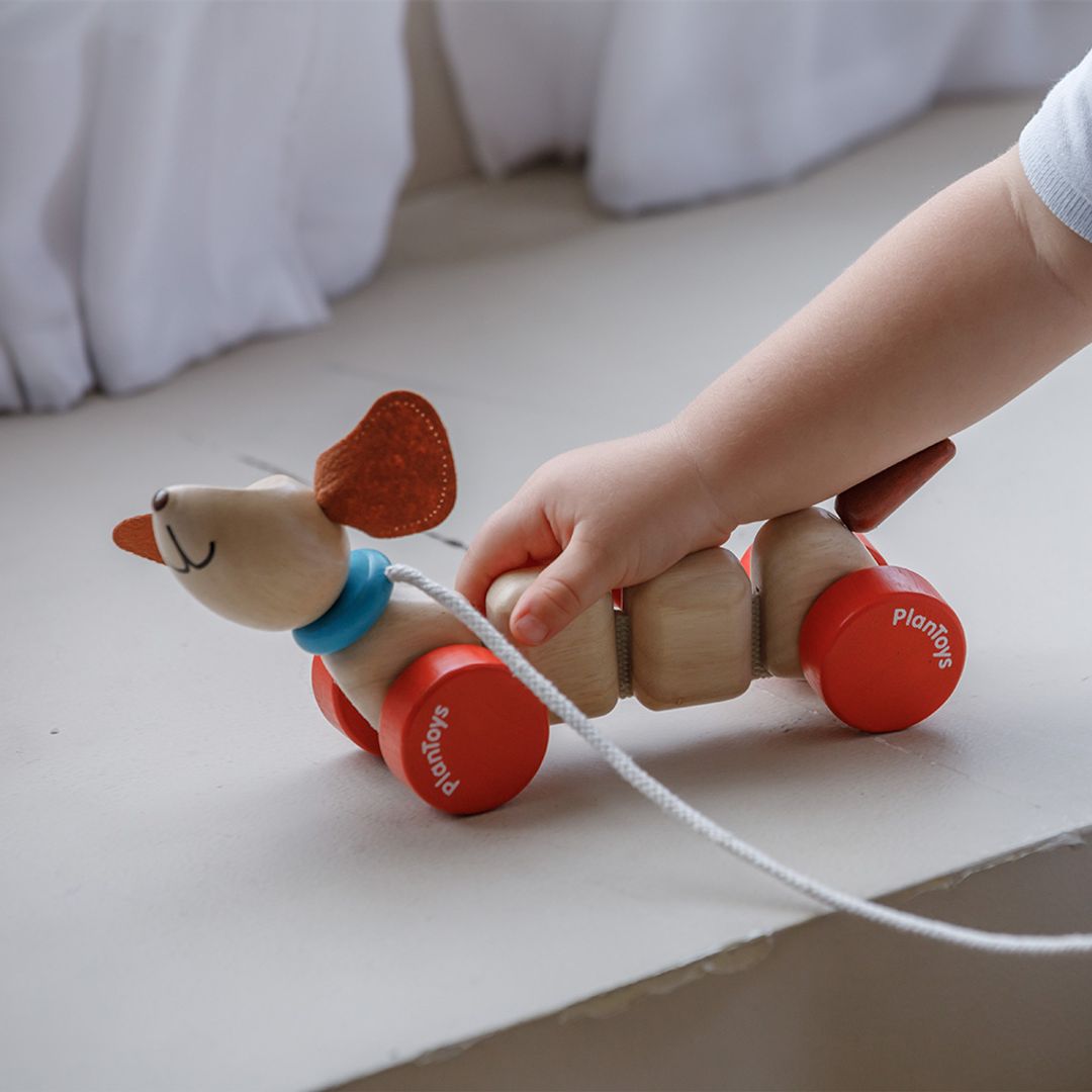 PLANTOYS ハッピーパピー 5101 Happy Puppy – PlanToys USA