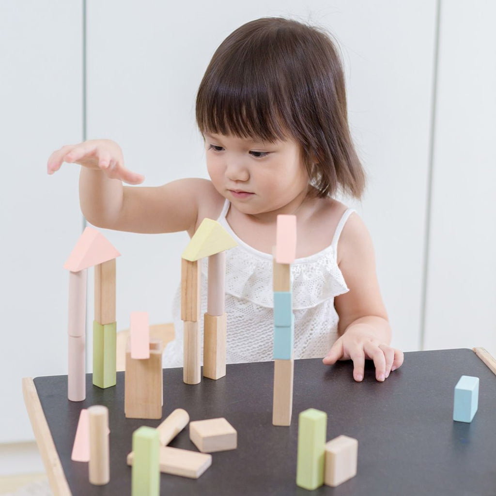 Unit Blocks Mini 40 Unit Blocks – PlanToys USA