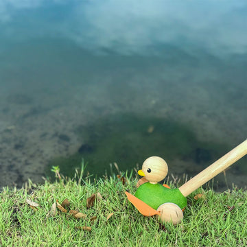 PlanToys - Push Along Duck